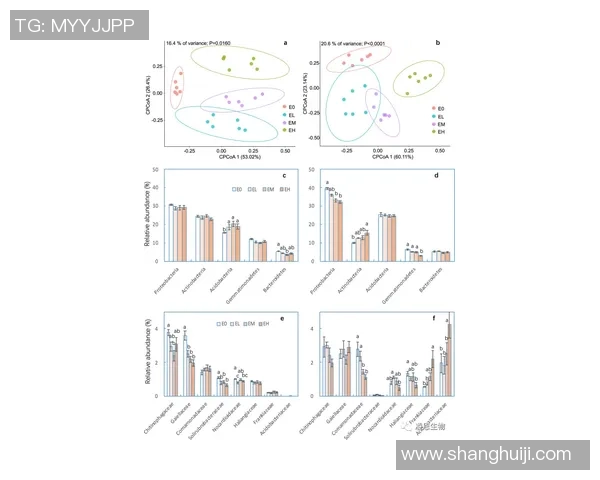 足球杆尺寸的选择与影响因素解析及其对比赛的影响