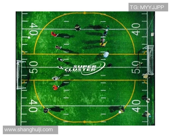 飞盘纪实：见证成都飞盘队从萌芽到辉煌的成长历程与转型探索